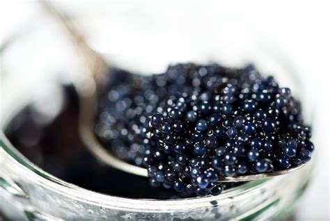 black russian caviar eggs.